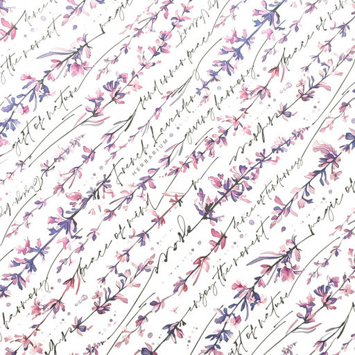 VAL HL-BC-3S Короба картонные, 25*33*18.5 см, набор 3 шт., HERBARIUM LAVENDER - Valiant фото 4