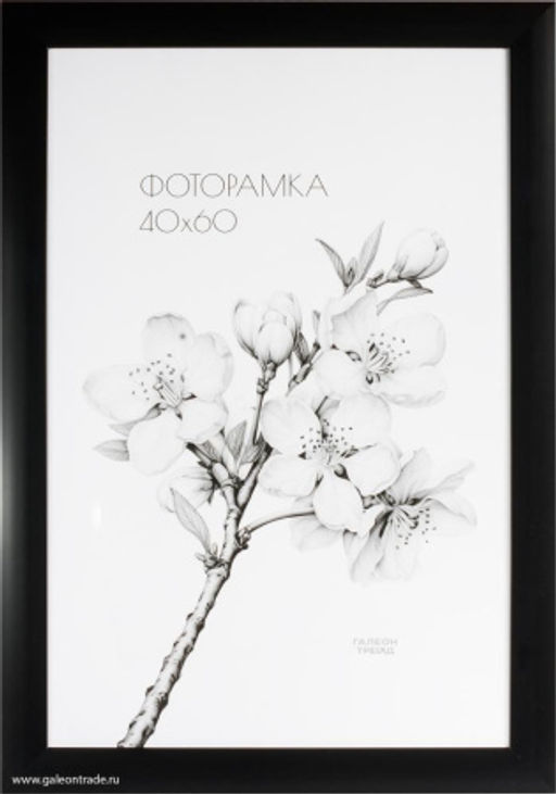 Фоторамка 40х60 /2900A-012C/,ф