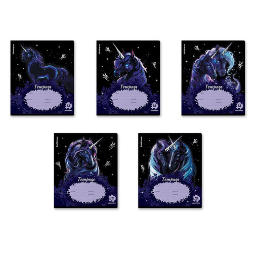 Цена за 2 шт. Тетрадь 18л. ErichKrause линия "Black Unicorn" (63273) уф-лак, обложка - мелованный картон