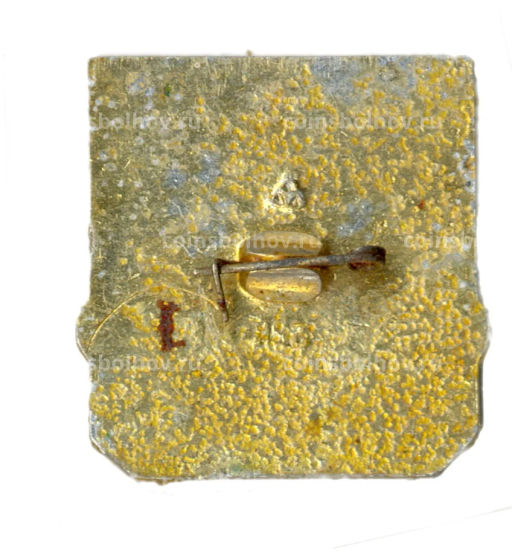 Значок Владимир