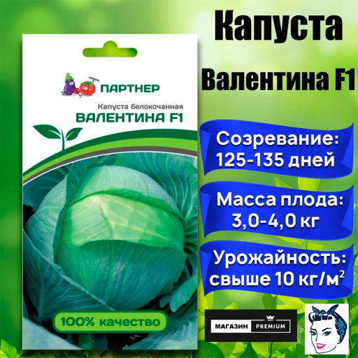 Капуста белокочанная позднеспелая Валентина - Партнер фото 8