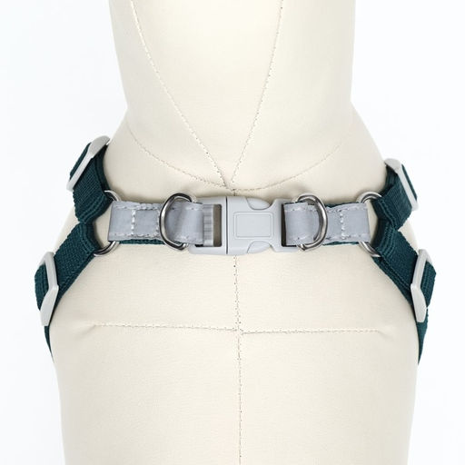 Комплект Sport+, XS, поводок 120 x 1,5 см, ОШ 37-39 см, ОГ 41-46 см, вес животного 4-6 кг, зелёный - Пижон фото 5