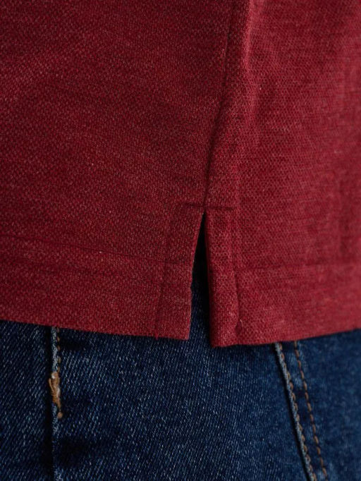 Джемпер мужской с воротником поло GREG G155-PM14T-LT7326 (бордо)  фото 3