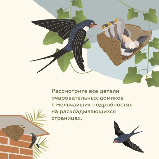 Что внутри? Как устроены дома животных. Банфи К., Перабони К. - Издательство махаон фото 3