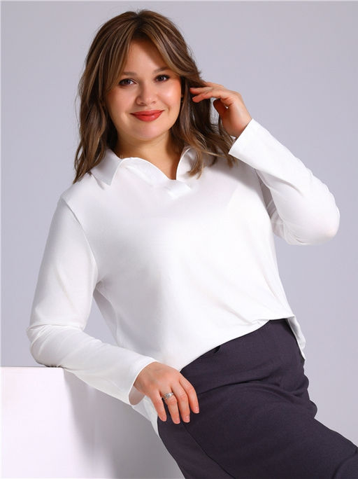 Поло 1ЖДПД4909804