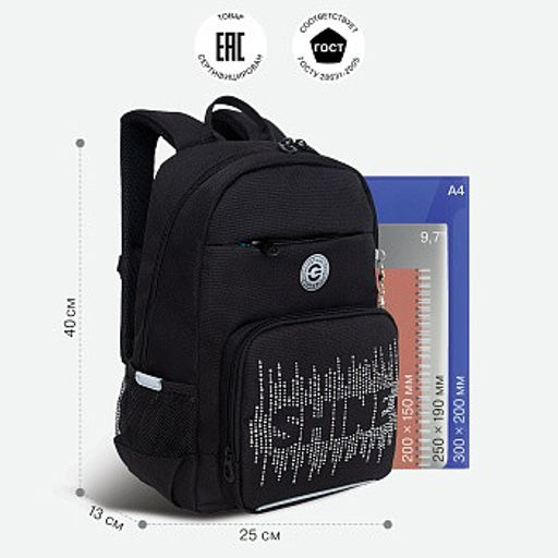 RG-464-3f Рюкзак школьный - Grizzly фото 26