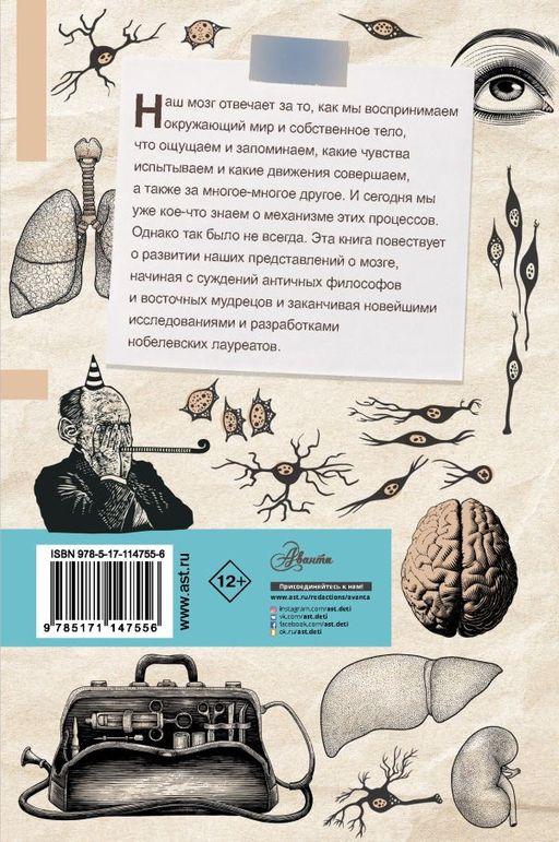 Мозг. От древних мифов к нейробиологии