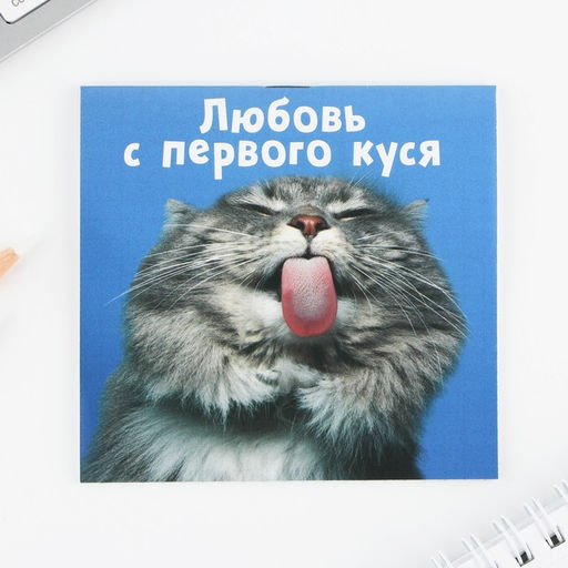 Цена за 20 шт. Блокнот 10х10, 16 листов МИКС Животные - Artfox фото 8
