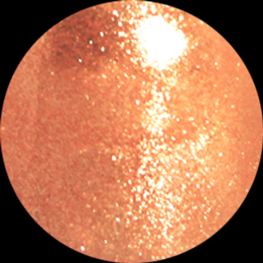 Alvin Dor Лак PRISMATIC т.2731 15мл