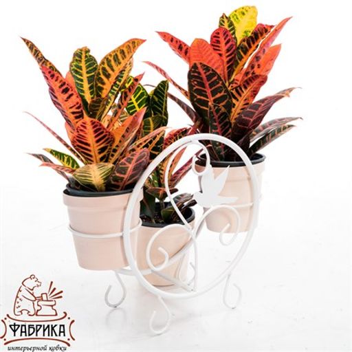 Подставка для цветов на подоконник 41-002W на 2 цветка - Фабрика интерьерной ковки фото 2