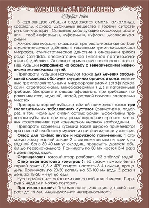 Кубышка жёлтая (корень) - Мариславна фото 3