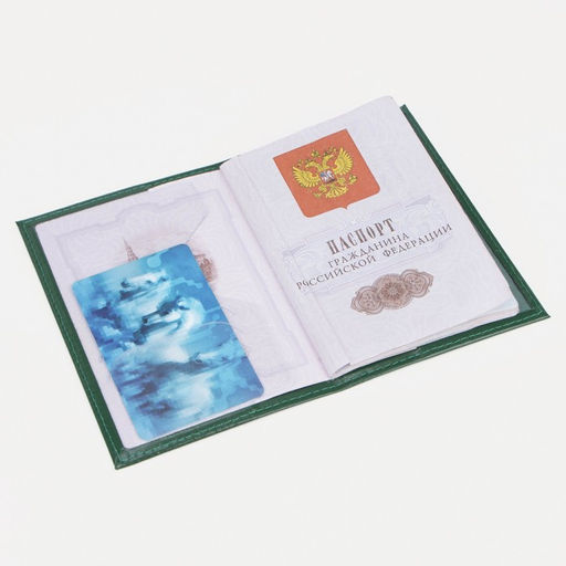Обложка для паспорта, зелёная
