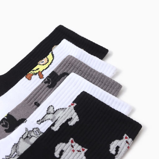 Носки мужские KAFTAN Mem socks, р. 41-44 (27-29 см), набор 5 пар