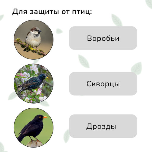 Сетка садовая, мягкая, 10×2 м, ячейка 15×15 мм, от птиц, Greengo