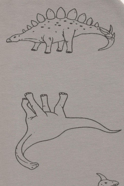 Crockid _ К 8102/зеленый чай,динозавры шапка дет  фото 2