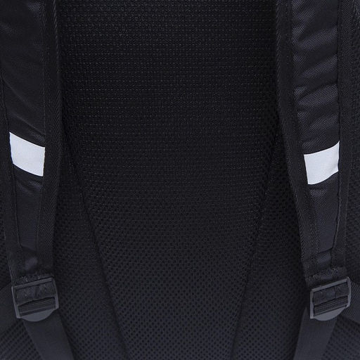 RB-251-1 Рюкзак школьный с обвесом - Grizzly фото 29