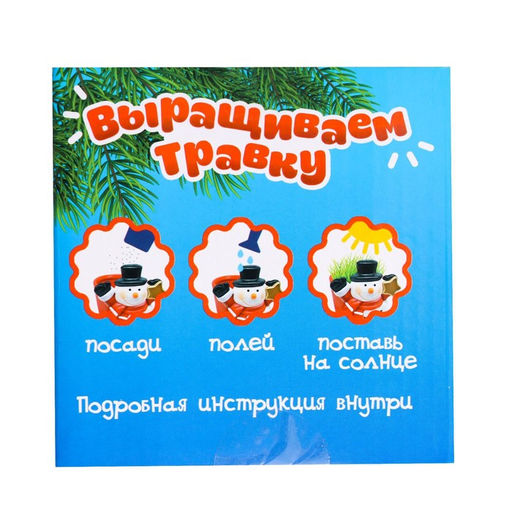 Набор для опытов Выращиваем травку, снеговик - Эврики фото 8