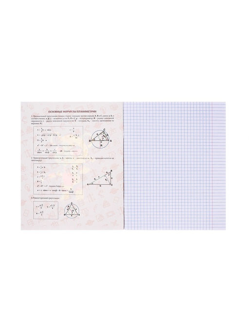 Цена за 5 шт. Тетрадь предметная 48 листов в клетку, Calligrata «Неоновые звери. Геометрия», обложка мелованный картон