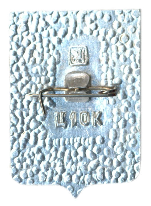 Значок Саранск