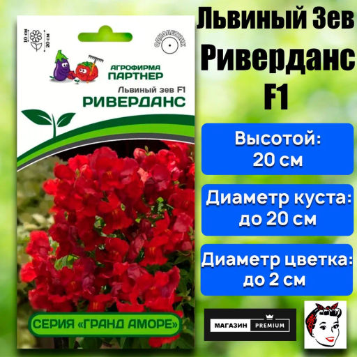 Львиный Зев низкорослый крупноцветковый Гранд Аморе Риверданс