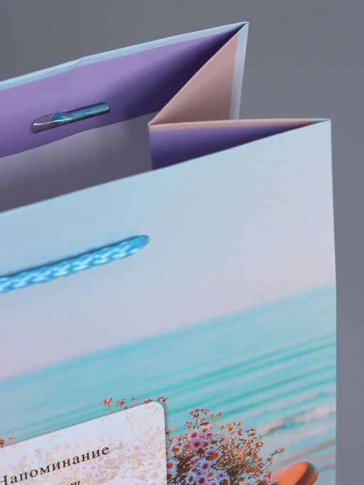 Пакет подарочный ламинированный «Путь к мечте», 18×22.3×10 см