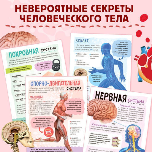 Энциклопедия с прозрачными страницами «Моё тело», 32 стр.