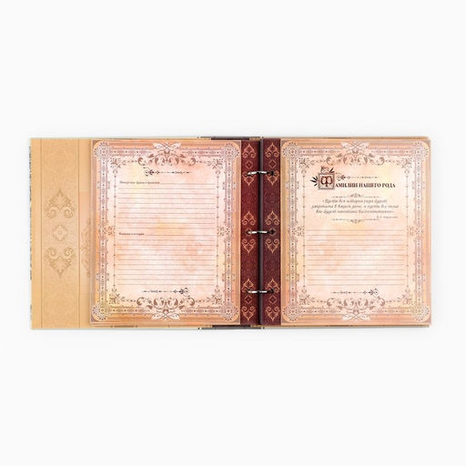 Родословная книга с рамкой под фото «Семейная», 21.5×23.7 см