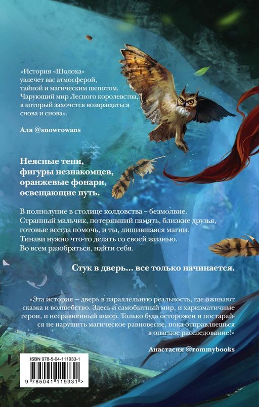 Шолох. Теневые блики