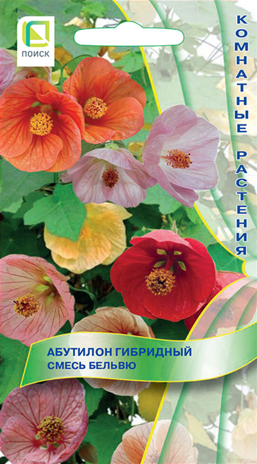 Абутилон гибридный Смесь Бельвю (ЦВ) (К) 0,1гр. - Поиск фото 2