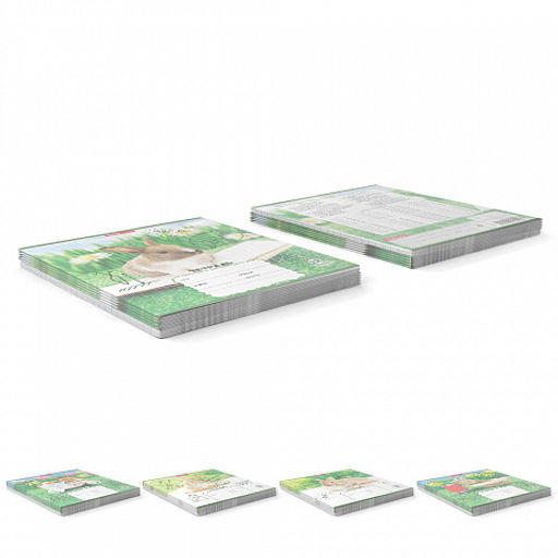 Цена за 10 шт. Тетрадь школьная ученическая ErichKrause Кролики, 12 листов, клетка (в плёнке по 10 шт.)_MIX-PACK  фото 9