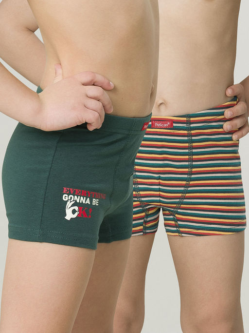 BUHB3295(2шт. в упаковке) трусы для мальчиков