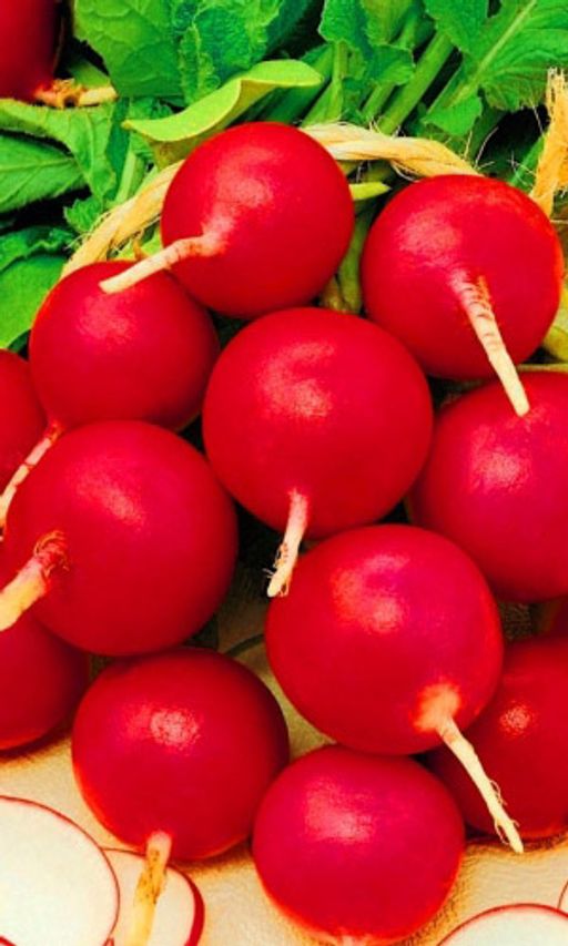 Редис КОРОЛЕВА МАРГО Настоящая королева среди редисов! Корнеплоды гранатового-рубинового цвета, крупные, сочные с белоснежной мякотью!