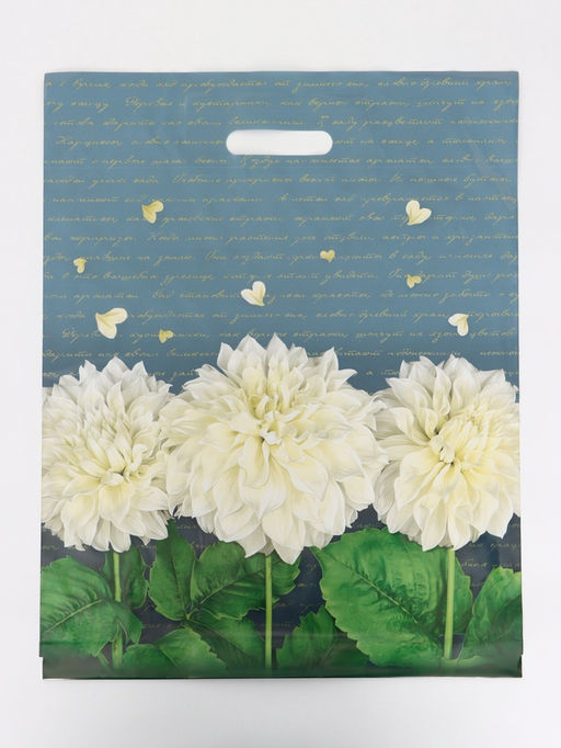 Цена за 50 шт. Пакет подарочный «Аллегория», полиэтиленовый с вырубной ручкой 40×50 см, 80 мкм