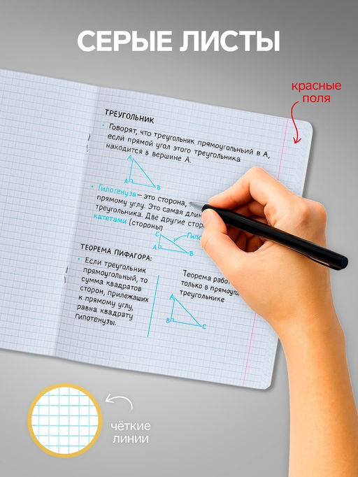 Тетради 18 листов в клетку Calligrata «Однотонная Классика», обложка мелованный картон, серые листы, 10 шт.