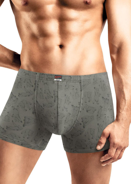 Трусы мужские шорты Сувенир - Clever wear фото 2