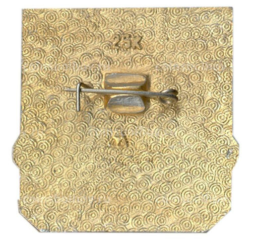 Значок Владимир