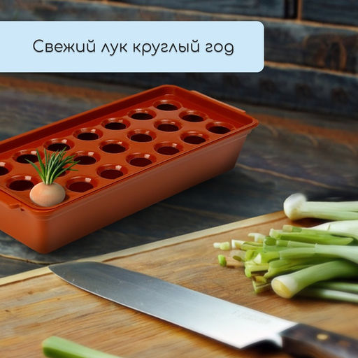 Ящик для выращивания зелёного лука, 40×19×10 см, 21 лунка, пластик, красный
