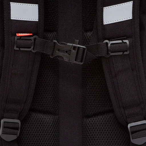 RAw-595-9 Рюкзак школьный - Grizzly фото 36