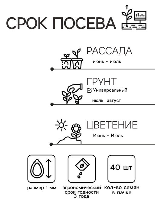 Цена за 2 шт. Семена цветов Анютины глазки "Флорист", Дв, 40 шт.