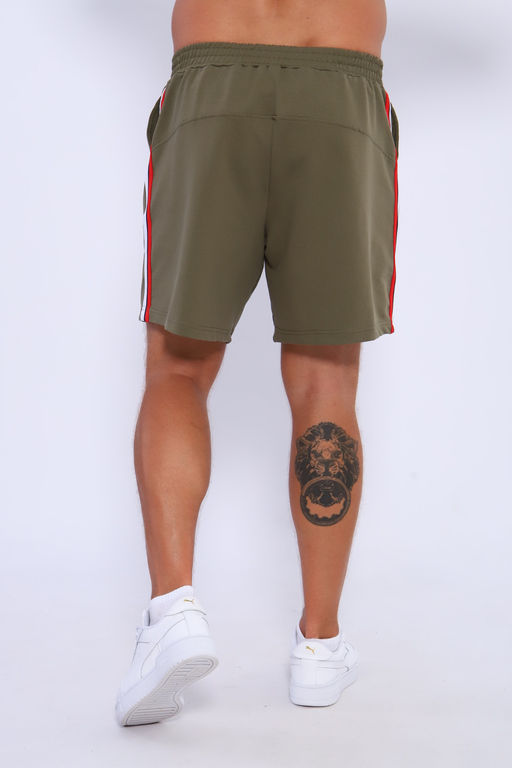 Шорты мужские 35336