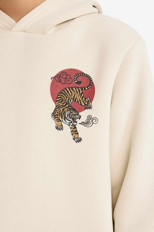 Kap__onlu S_rt Bask_l_ __i Yumu_ak T_yl_ Sweatshirt Erkek _ocuk - Defacto фото 5