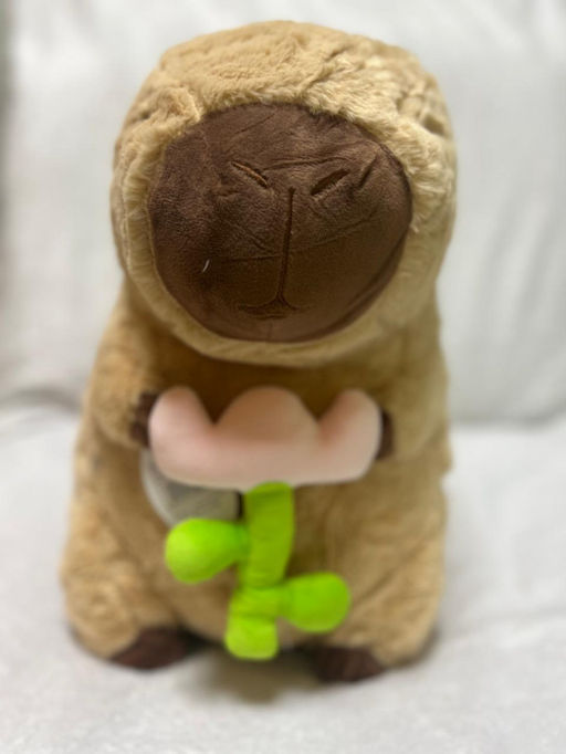 Плед с игрушкой Капибара - My bed фото 2