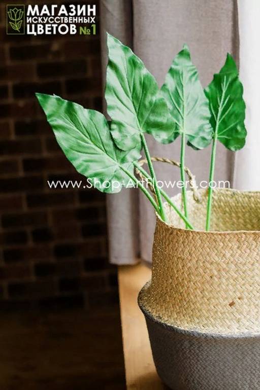 062 Лист каллы мини - Без тм фото 2