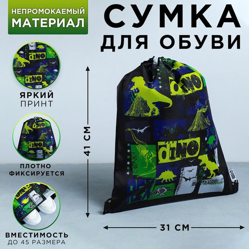 Сумка для обуви Динотайм, болоньевый материал, 41х31 см
