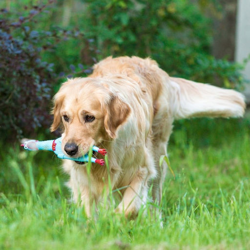 Игрушка пищащая Задумчивая курица для собак, 28 см, голубая - Пижон фото 6