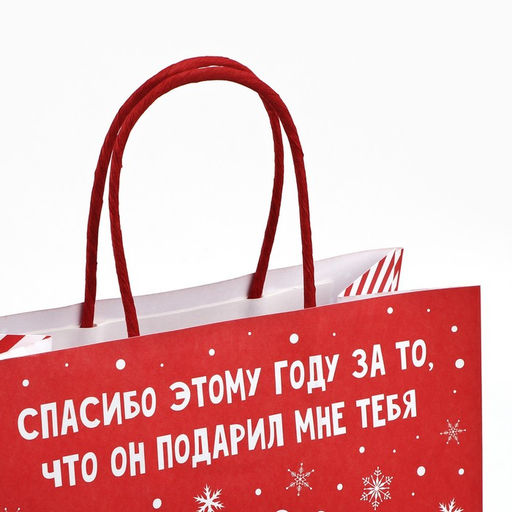 Пакет подарочный новогодний «Спасибо этому году», 22×22×11 см