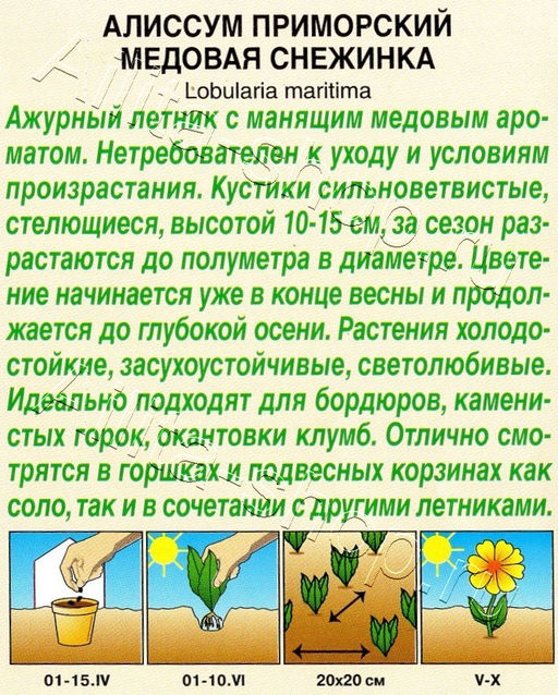 Алиссум Медовая снежинка 0,05г (Аэлита)