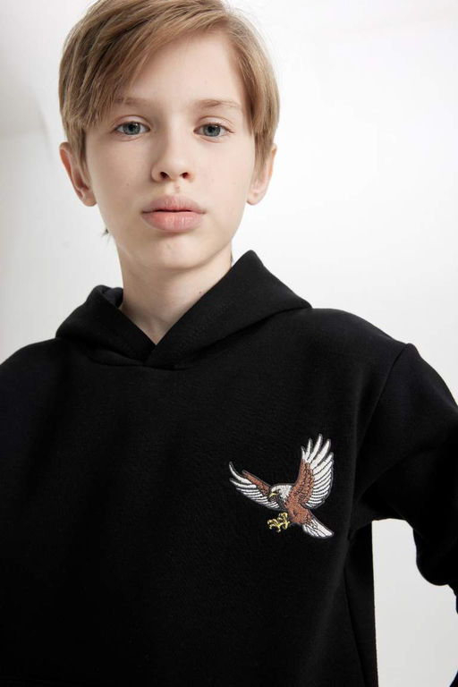 Черная толстая толстовка обычного кроя с капюшоном и принтом животных для мальчиков - Defacto фото 5