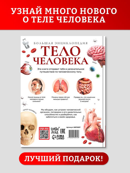 Энциклопедия в твёрдом переплёте "Строение тела человека", 128 страниц.