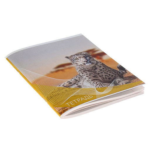 Цена за 4 шт. Тетрадь 96 листов в линейку Calligrata Дикие кошки, обложка мелованный картон, блок №2, белизна 75% (серые листы), МИКС  фото 3